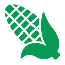 Plant-based biodegradable bags by Shakthi Enterprises – Best Eco Friendly Bag Manufacturer