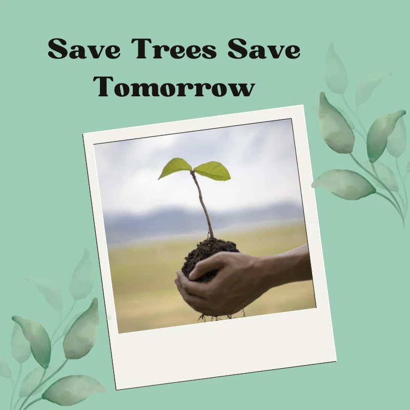 Biodegradable and eco friendly packaging bags by Shakthi Enterprises, leading green bag manufacturer